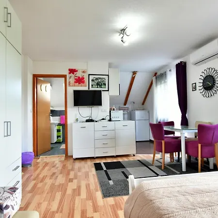 Apartment Andreja Seliste Dreznicko Exterior photo