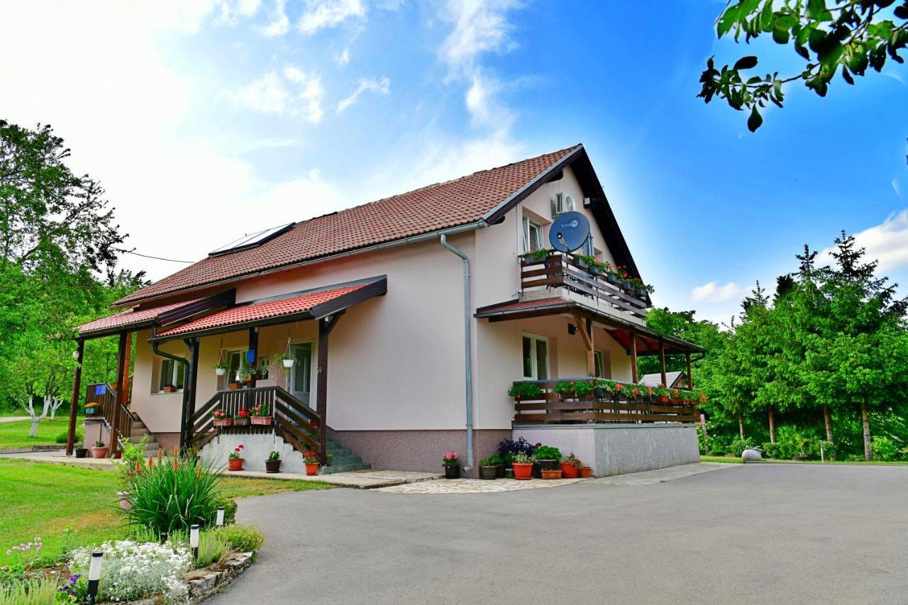 Apartment Andreja Seliste Dreznicko