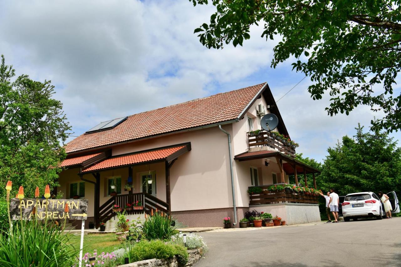 Apartment Andreja Seliste Dreznicko