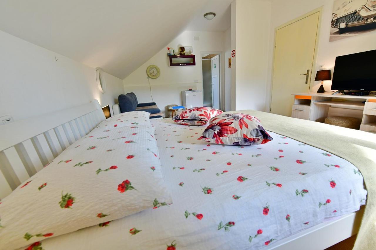 Apartment Andreja Seliste Dreznicko