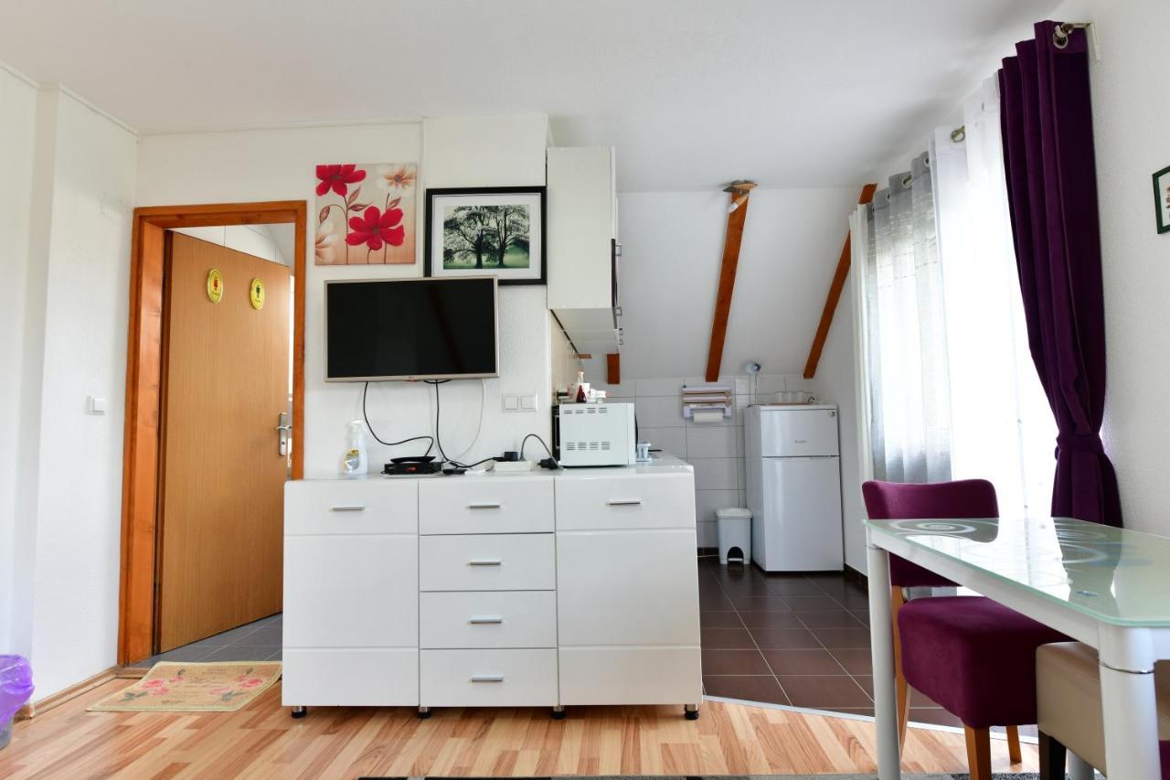 Andreja Apartment Seliste Dreznicko
