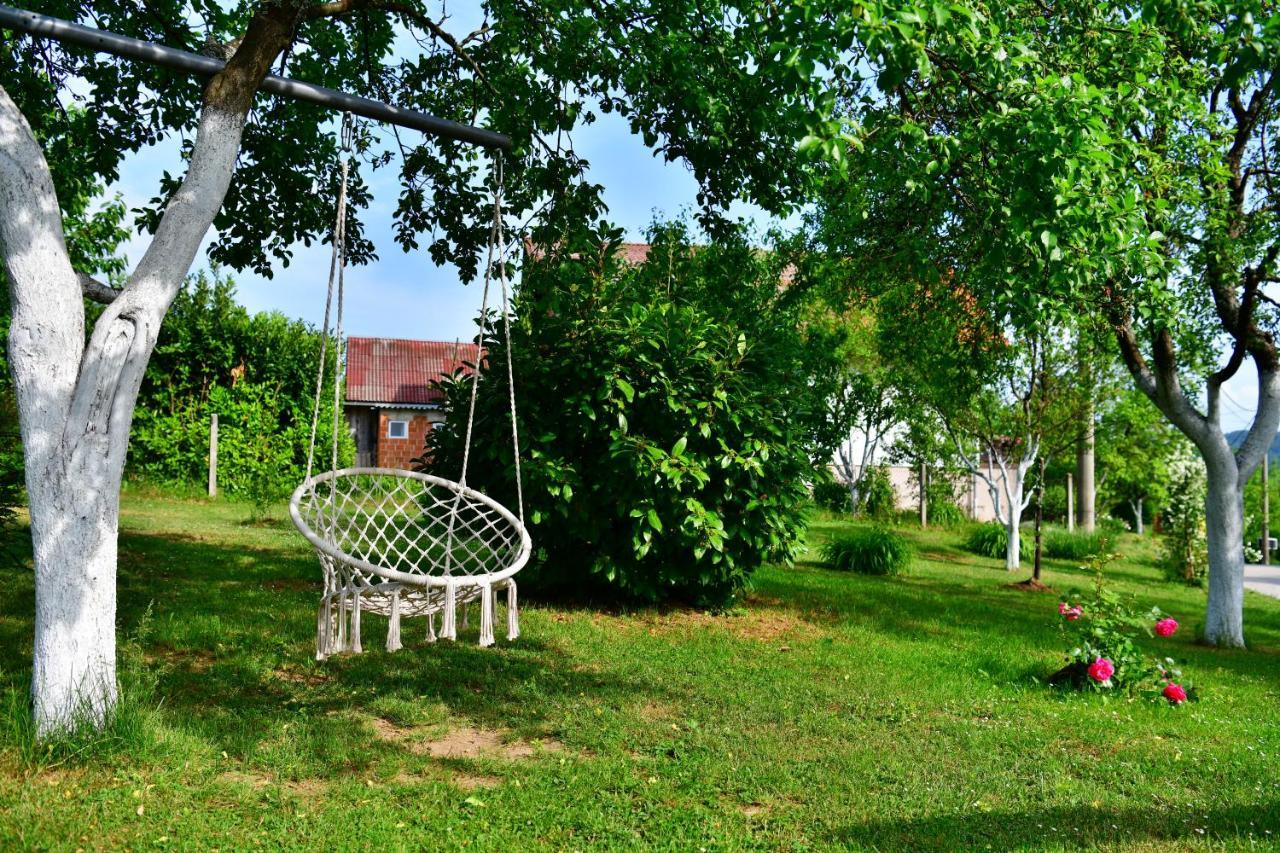 Andreja Apartment Seliste Dreznicko