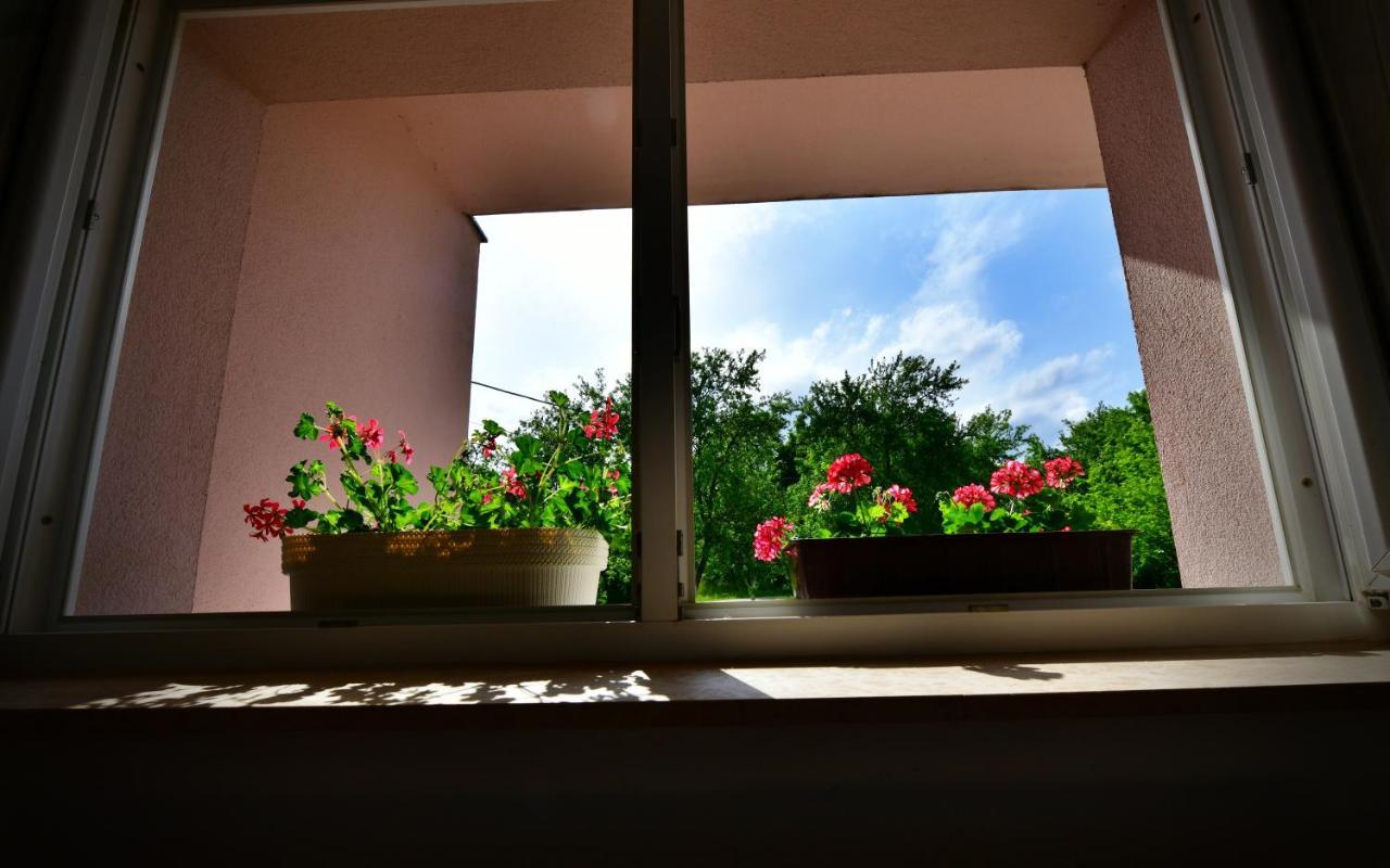 Andreja Apartment Seliste Dreznicko